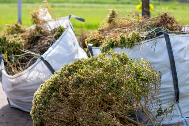 Best Junk Removal Near Me  in Talahi Island, GA